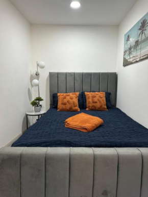 Luxury studio flat in central London! E1!F3
